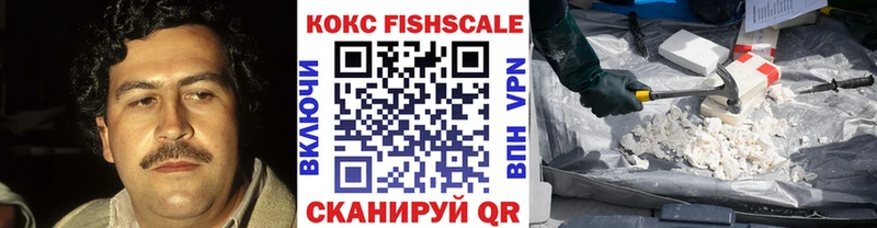 MEGA маркетплейс  Дзержинск  COCAIN FishScale 