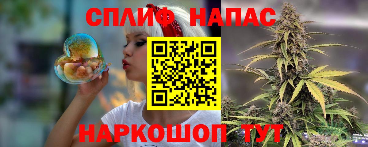 Каннабис сатива Дзержинск